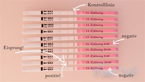 Verpackung eines digitalen Ovulationstests mit Anzeige von fruchtbaren Tagen.