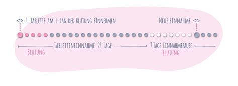 Schema der Pilleneinnahme für verschiedene Zyklusmodelle (Einphasen-, Mehrphasen-, Langzeitzyklus)