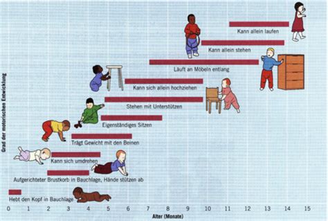Schema der Entwicklung des Gehirns und der Motorik bei Kleinkindern