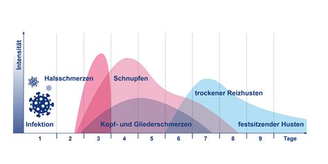 Infografik mit den drei Phasen einer Erkältung und typischen Symptomen
