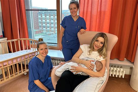 Schema des dualen Studiums Hebammenwissenschaft mit den drei Lernbereichen Theorie, Skills-Lab und Praxisphasen