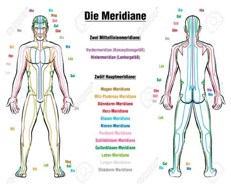 Schema der Meridiane im menschlichen Körper