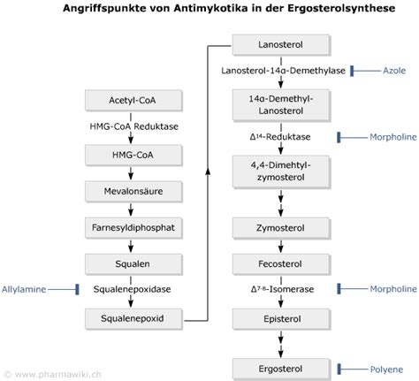 Vergleich von topischen und oralen Antimykotika zur Behandlung von Pilzinfektionen