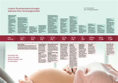 Infografik: Übersicht der Vorsorgeuntersuchungen während der Schwangerschaft