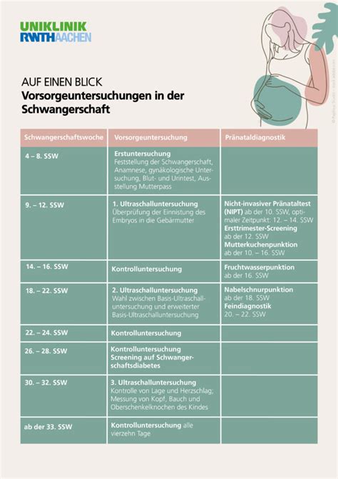 Schema: Überblick über die wichtigsten Vorsorgeuntersuchungen während der Schwangerschaft
