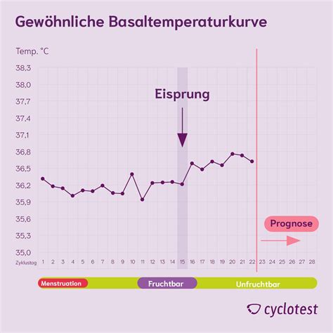 Grafik einer Basaltemperaturkurve, die den Temperaturanstieg nach dem Eisprung zeigt