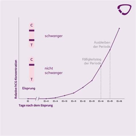 Grafik, die den Anstieg des hCG-Wertes im Blut und Urin während der Frühschwangerschaft zeigt.