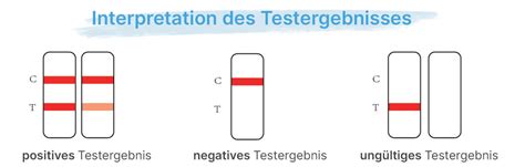 Illustration, die verschiedene Gründe für ein falsch-negatives Testergebnis zeigt (zu früher Test, verdünnter Urin, etc.).