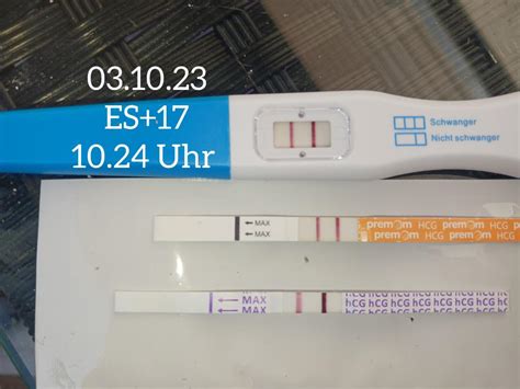 Bild eines TESTAmed Schwangerschaftstests