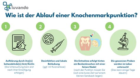 Schema einer Knochenmarkpunktion