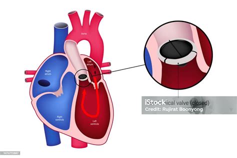 Nahaufnahme des Silikon-Trinkhalms mit Ventil