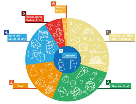 Schema mit den Nährstoffen, die in Säuglingsanfangsnahrung enthalten sein sollten.