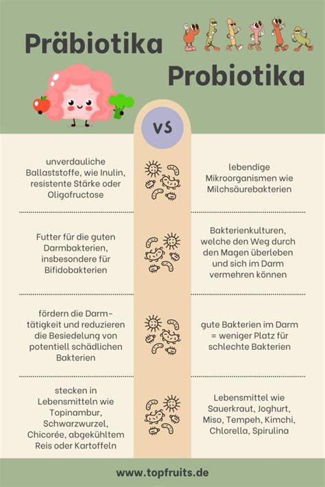 Infografik, die die Wirkung von Prä- und Probiotika auf die Darmflora zeigt.