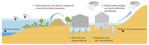 Schematische Darstellung verschiedener Enzymhemmungsarten