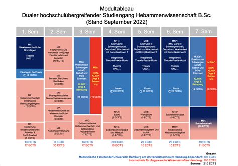 Schema des dualen Bachelorstudiengangs Hebammenwissenschaft mit 7 Semestern und 210 Credit Points