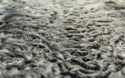 Eine Nahaufnahme des Innenfutters eines Lammfell-Fußsacks, die die Weichheit und Textur des Fells zeigt.