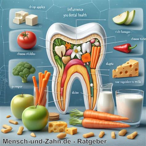 Grafik, die den Zusammenhang zwischen Zahngesundheit und Fruchtbarkeit darstellt.