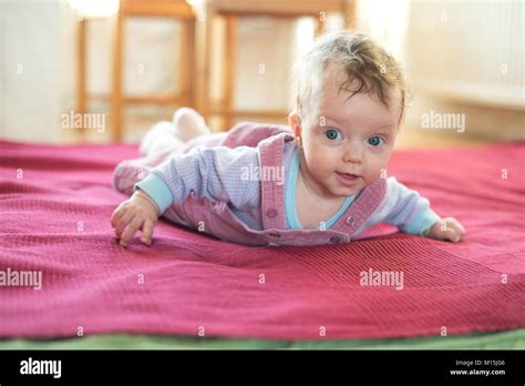 Baby in der 37. Woche, das auf dem Bauch liegt und wippt, bereit zum Krabbeln.