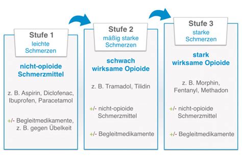 Schema zur medikamentösen Schmerztherapie in der Schwangerschaft mit Fokus auf Paracetamol und Ibuprofen
