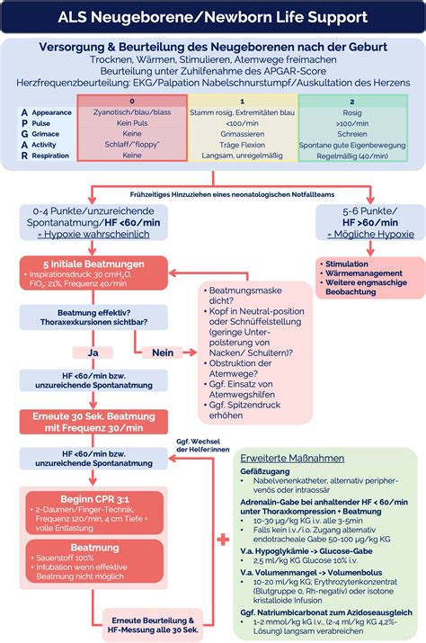 Schema der Neugeborenen-Reanimation im Kreißsaal