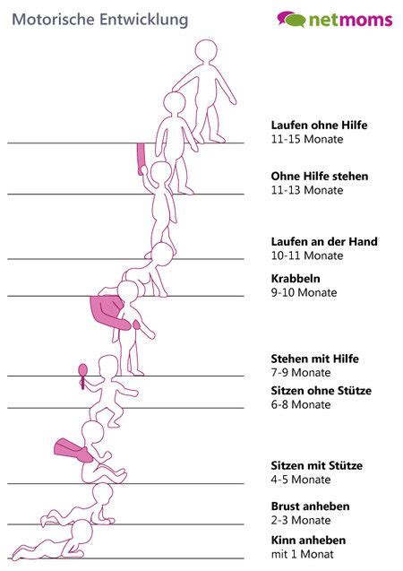 Schema der Entwicklung von Babys im ersten Lebensjahr mit Fokus auf Wahrnehmung und Motorik
