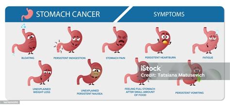 Infografik, die die verschiedenen Symptome von Zwischenblutungen auflistet