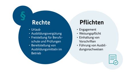 Infografik, die die Rechte und Pflichten bei Teilzeitarbeit während der Elternzeit vergleicht