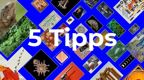 Collage von Bildern, die die 5 Praxistipps für den Garten illustrieren.