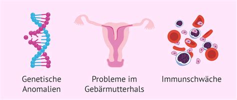 Illustration, die verschiedene potenzielle Ursachen für Fehlgeburten darstellt, wie genetische Faktoren, hormonelle Ungleichgewichte und Infektionen.
