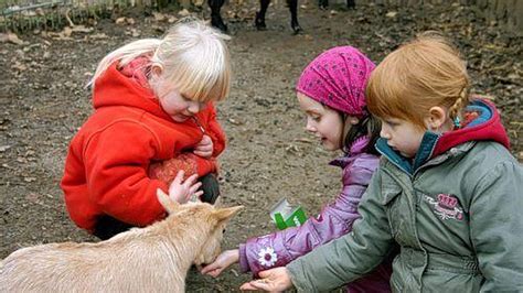 Kinder im Streichelzoo, die Ziegen füttern