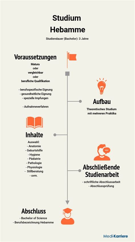 Infografik zu verschiedenen Karrieremöglichkeiten für Hebammen nach dem Studium
