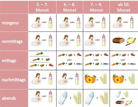 Schema, das die empfohlene Einführung von Beikost für Babys ab dem 5. Monat zeigt, mit Fokus auf Karottenbrei als erste Option.