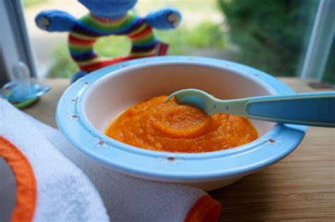 Infografik, die die Schritte zur Zubereitung von Karottenbrei für Babys visuell darstellt.