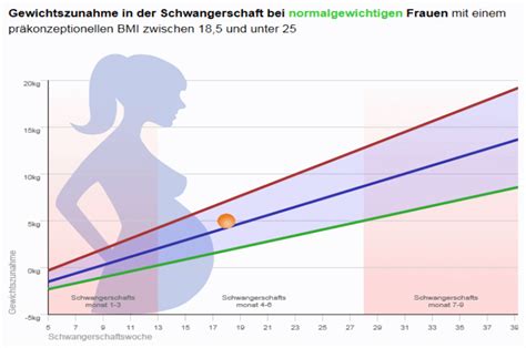 Grafische Darstellung der Gewichtszunahme während der Schwangerschaft, aufgeschlüsselt nach Trimestern