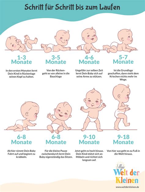 Infografik, die den natürlichen Stillrhythmus eines Neugeborenen zeigt, mit Hervorhebung von Clusterfeeding am Abend.