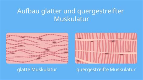 Gegenüberstellung von glatter und strukturierter Tragetuch-Webart
