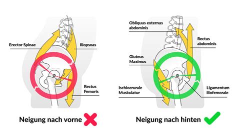 Infografik, die die verschiedenen Tragepositionen (Bauch, Rücken, Hüfte) zeigt
