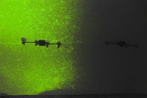 Ansicht einer Zimmerdecke. Linke Bildhälfte mit starkem Schimmelpilzbefall mit transparentem Myzel, das bei Tageslicht vollständig unsichtbar ist. Durch Fluoreszenzbildanalyse wird der Befall sichtbar, hier erkennbar an der hellgrünen Fluoreszenz, während der dunkle Bereich pilzfrei ist. Anmerkung: die gesamte Decke wurde gleichmäßig stark ausgeleuchtet.