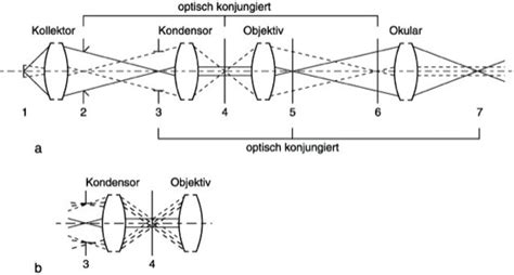 Schemazeichnung eines Kegelmantels zur Dunkelfeld-Beleuchtung, erzeugt mit Zentralblende. Ein farbiger Objektträger wurde senkrecht in den Strahlengang gebracht, um den Beleuchtungsweg sichtbar zu machen. Die Beleuchtung kommt unten aus dem Kondensor und geht oben seitlich am Objektiv vorbei.