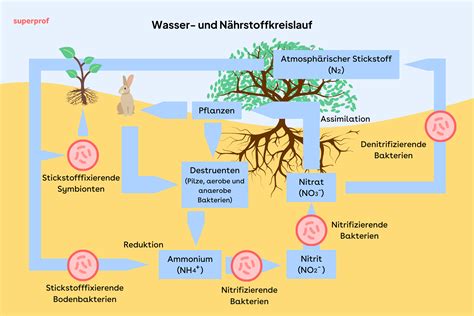 Grafische Darstellung, wie aus einem gefalteten Stoff durch Anlegen eines Maßbandes und Schneiderkreide ein Kreis ausgeschnitten wird