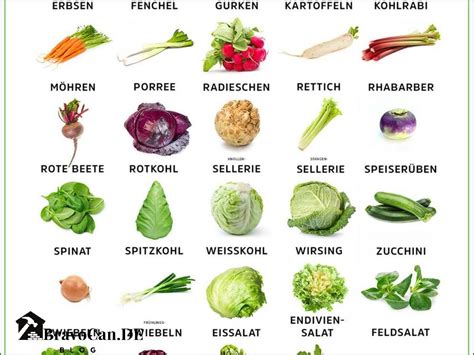 Infografik, die verschiedene Gemüsesorten und ihre Nährwerte für Babys zeigt.