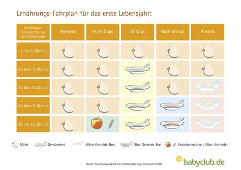 Schema, das die empfohlene Entwicklung der Beikost von den ersten Löffeln bis zum Familienessen zeigt.