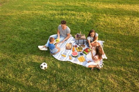 Familie macht Picknick im Park