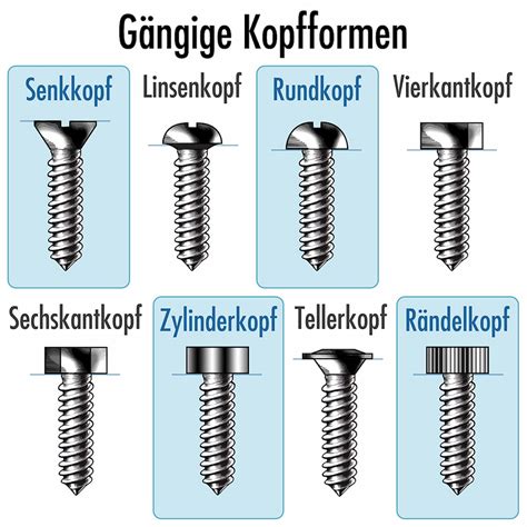 verschiedene Arten von Kinderbuggys nebeneinander aufgestellt