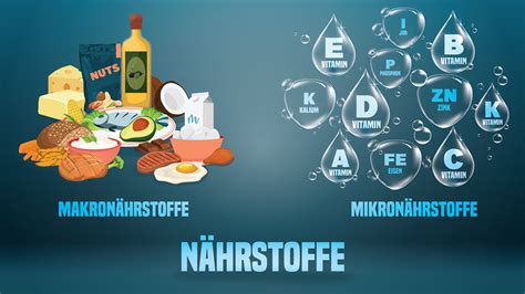Infografik, die die wichtigsten Nährstoffe für die Fruchtbarkeit auflistet.