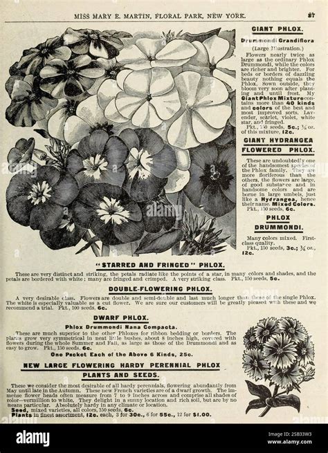 Grafik mit den verschiedenen Pistolenmodellen und ihren Eigenschaften