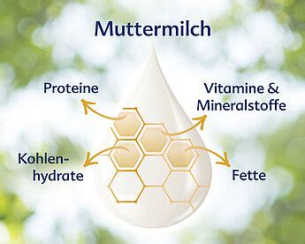 Schema der schützenden Inhaltsstoffe in Muttermilch und deren Wirkung auf das Baby
