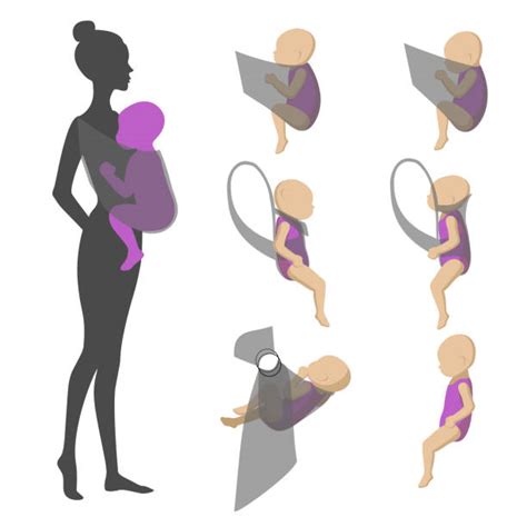 Infografik, die die korrekte Positionierung des Babys im Ring Sling zeigt, inklusive M-Position der Beine und gerundetem Rücken.