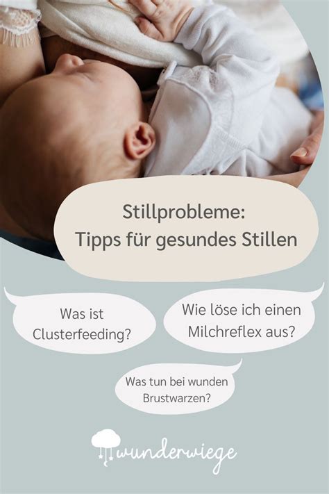 Infografik, die verschiedene Ursachen für Stillprobleme darstellt.