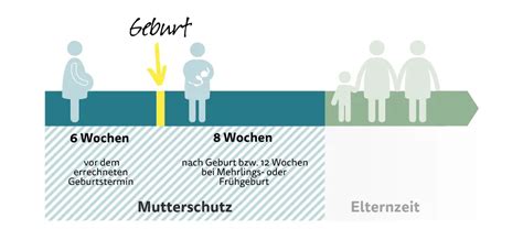 Infografik: Phasen des Mutterschutzes und der Elternzeit